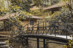 Ayuuwellness Village