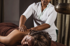 Ayuuwellness Village