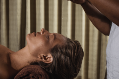 Ayuuwellness Village