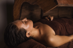 Ayuuwellness Village