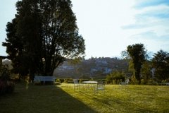 DSCF5353