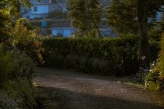 DSCF5369