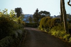DSCF5370