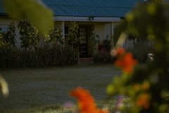DSCF5394-1