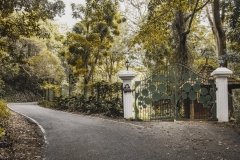 IMG_7754-scaled IMG_7754-scaled