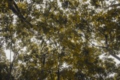 IMG_7757-scaled IMG_7757-scaled