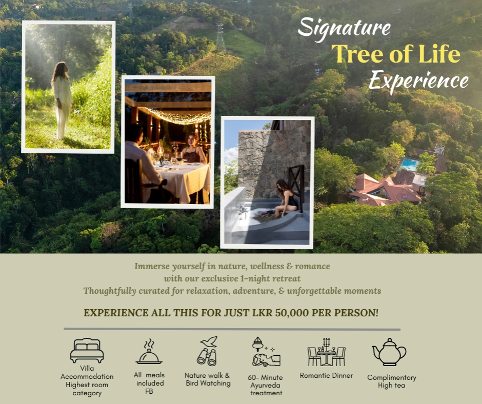 Tree of Life Nature Res - Kandy Hotels Treeoflife.com